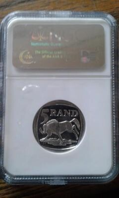 The Scoin Shop