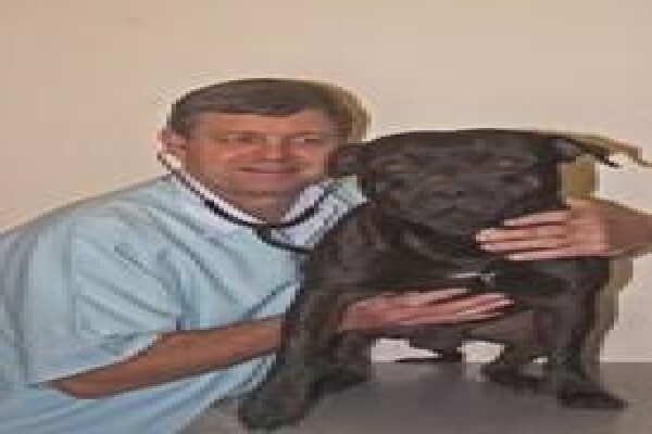 Summerstrand Veterinary Consulting Room