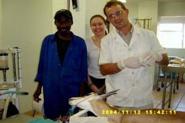 Highveld Animal Clinic