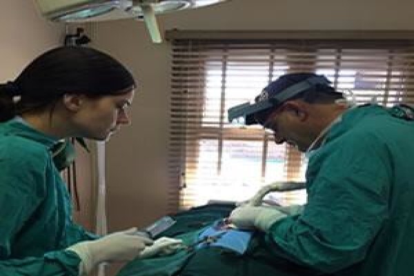 Highveld Animal Clinic
