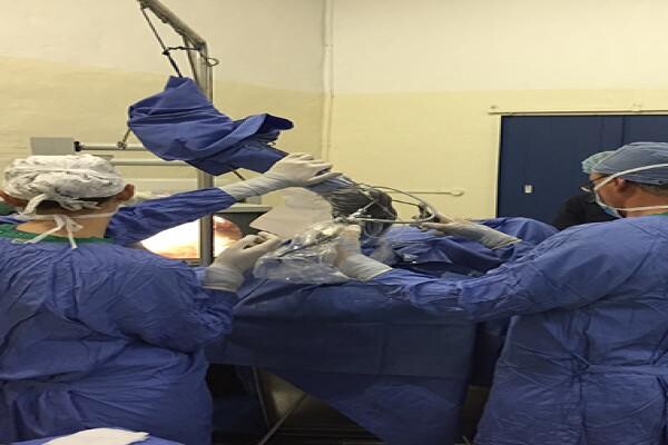 Summerveld Equine Hospital