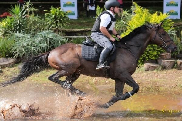 Summerveld Equine Hospital