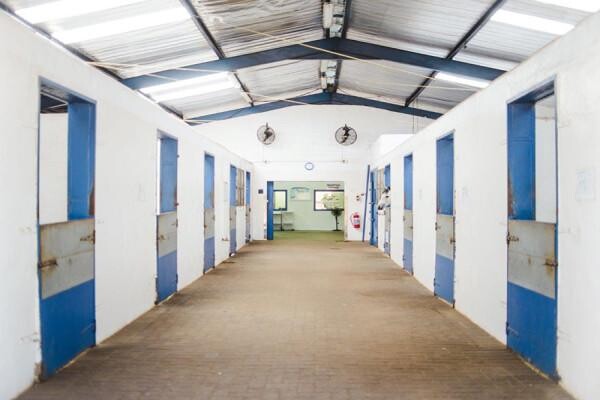 Summerveld Equine Hospital