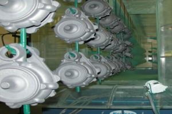 Maskam Water:AlphaCall