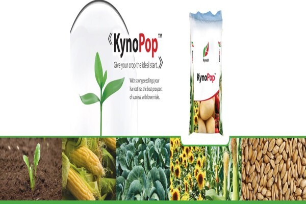 Kynoch Verteenwoordiger