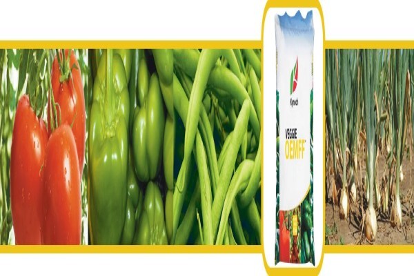 Yara (SA) (Pty) Ltd
