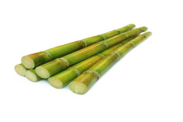 Bargaining Council For Sugar