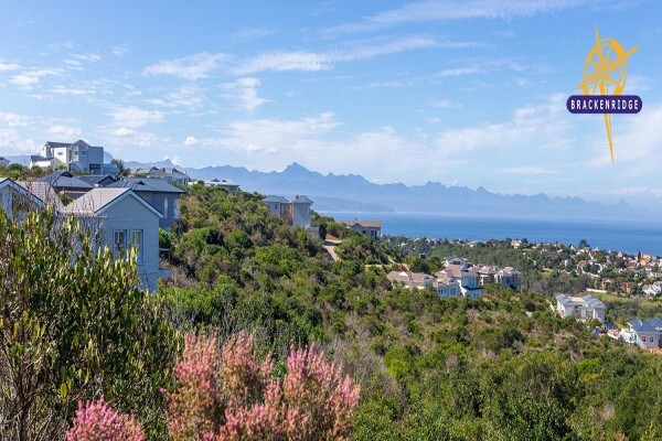 Brackenridge Estate Home Owners Association