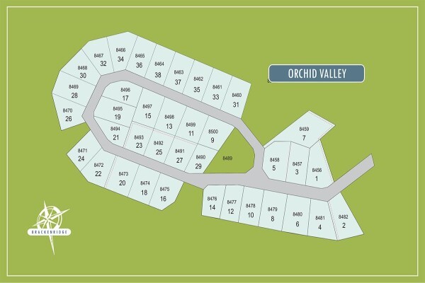 Brackenridge Estate Home Owners Association