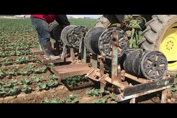 Turf-Ag (Pty) Ltd