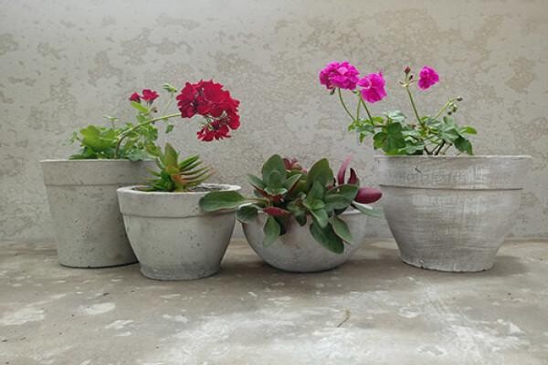 Style Décor Ornamental Concrete