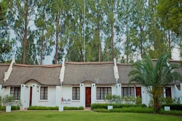 Kievits Kroon