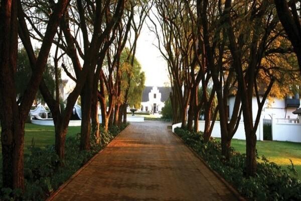 Kievits Kroon