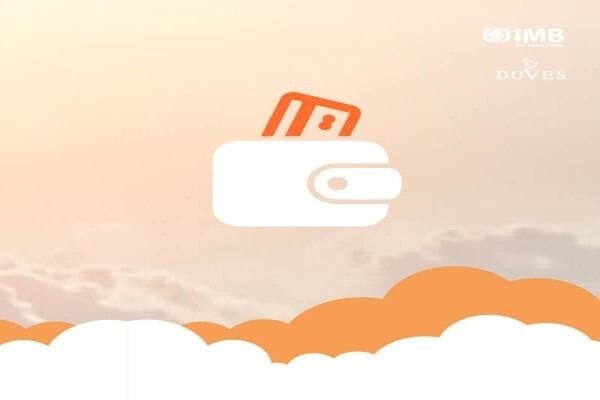 Imvelaphi Mobile Banking (Pty) Ltd
