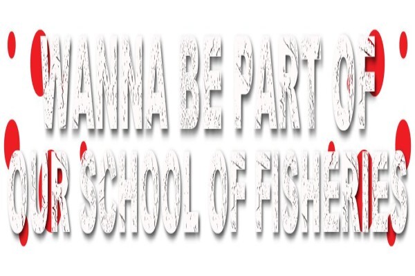 Calamari Fisheries