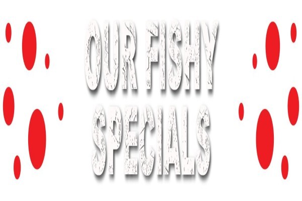 Calamari Fisheries
