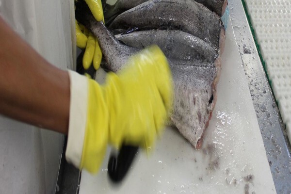 Sentinel Seafoods