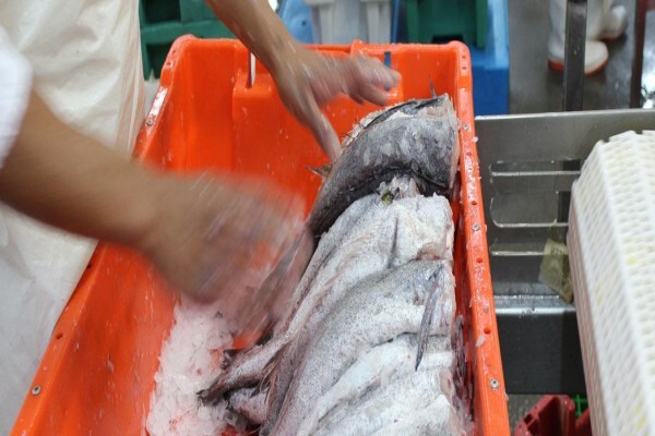 Sentinel Seafoods