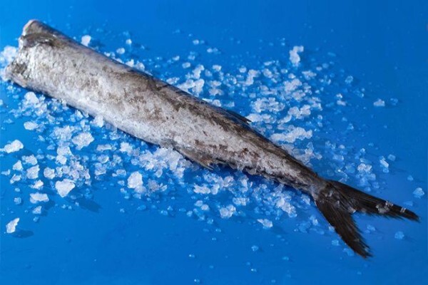 Sentinel Seafoods