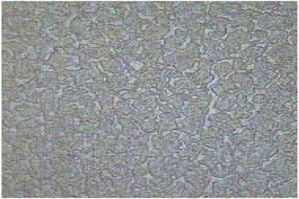 Floormaster CC