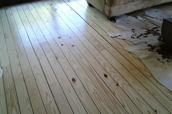 The Dust Free Floor Sanding Man