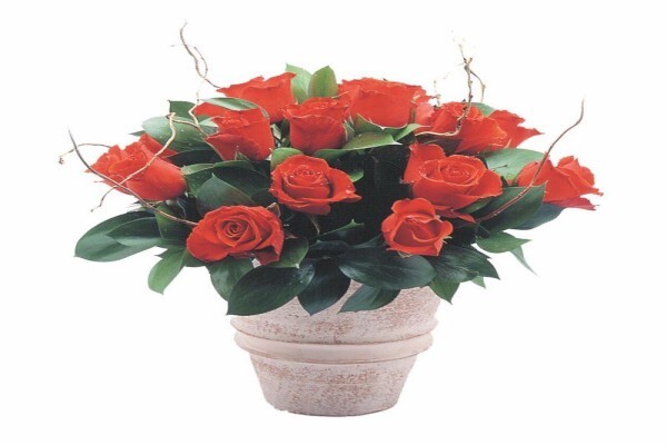 Garden Gate Florist