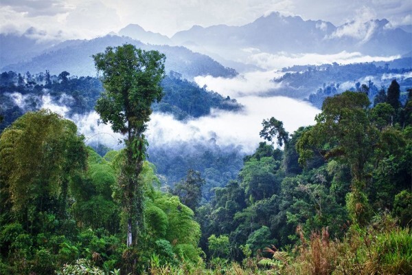 Economic Development Environmental Affairs & Tourism