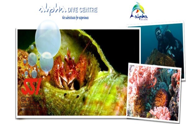 Alpha Dive Centre