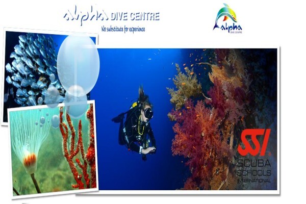 Alpha Dive Centre