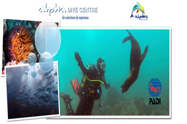 Alpha Dive Centre