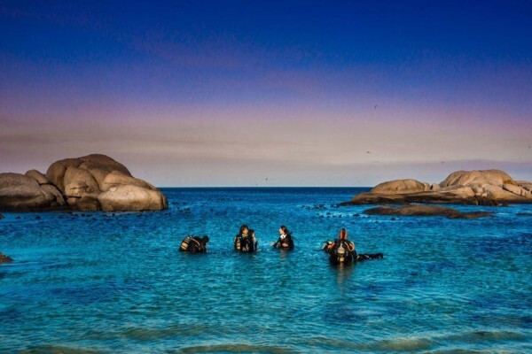 Alpha Dive Centre