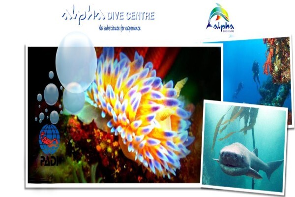 Alpha Dive Centre
