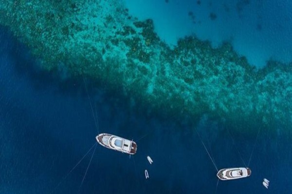 Alpha Dive Centre