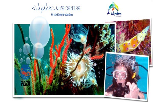 Alpha Dive Centre
