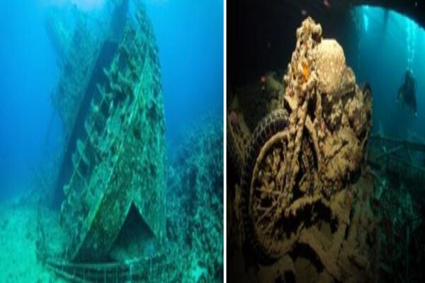 Alpha Dive Centre