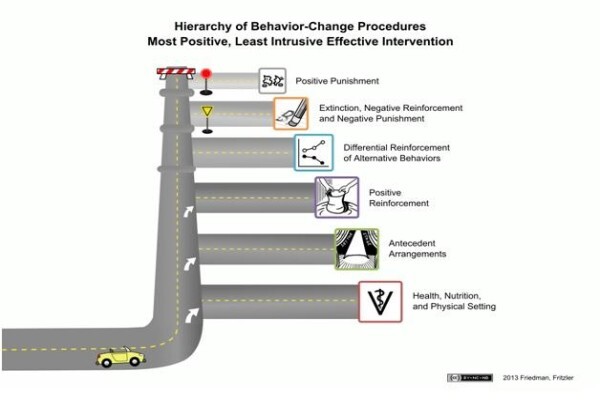 Canine Concepts Behaviour & Training CC