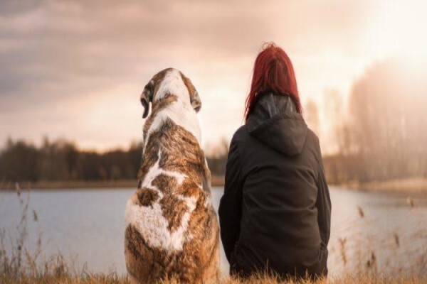 Canine Concepts Behaviour & Training CC