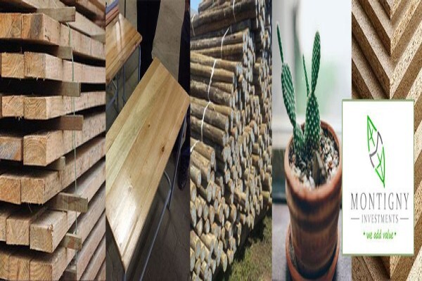 TDM (Pty) Ltd