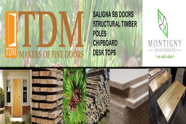 TDM (Pty) Ltd