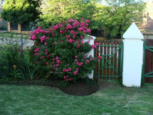 Sweetie Pie - Self Catering