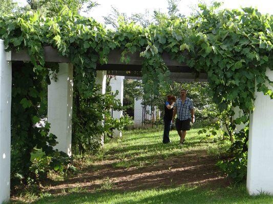 Sweetie Pie - Self Catering