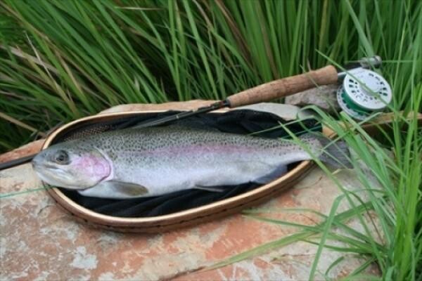 Highlander Trout Lodge