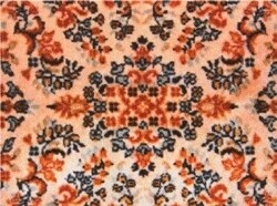 The Persian Carpet Cleaner