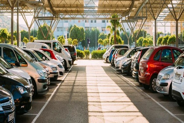 Auto Pedigree