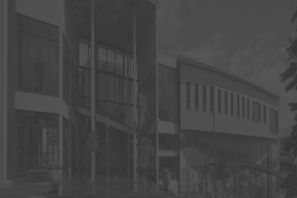 Steve Biko Foundation