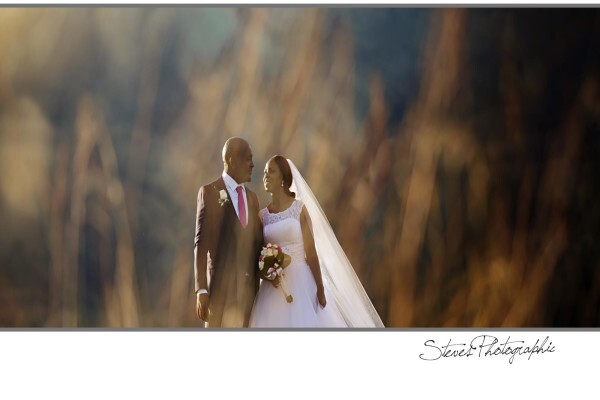 Steves Photographic & Framing