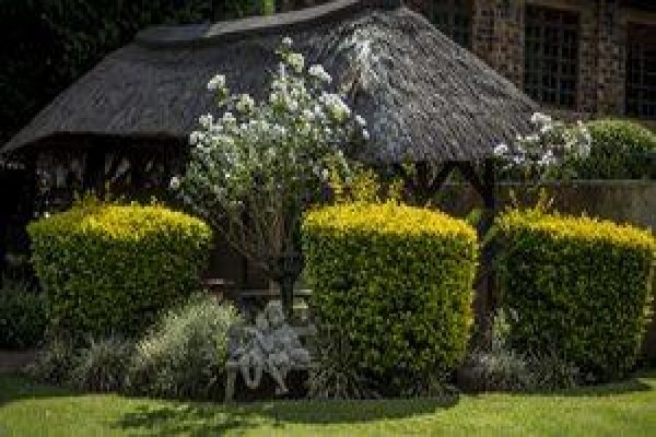 Steves Photographic & Framing
