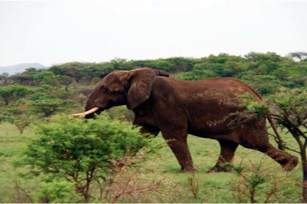 Elephant Rock Lodge