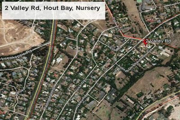 Trees & Hedges Nursery
