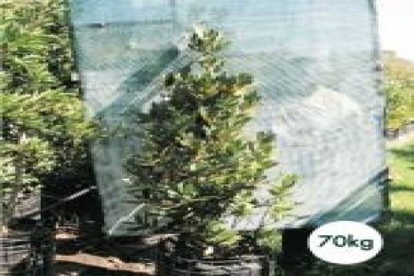Trees & Hedges Nursery